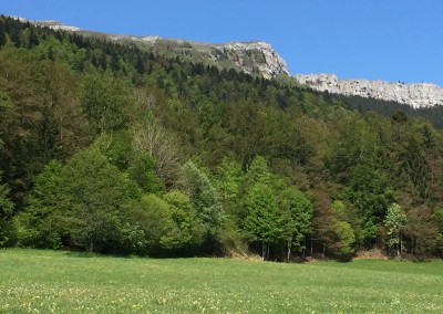 Le Mont d’Or