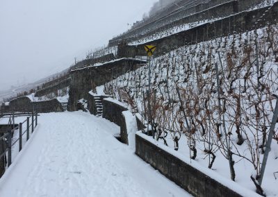 Sentier du Lavaux